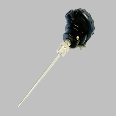 RTD Temperature Sensor