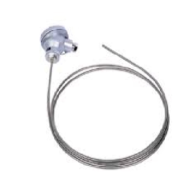 RTD Temperature Sensor