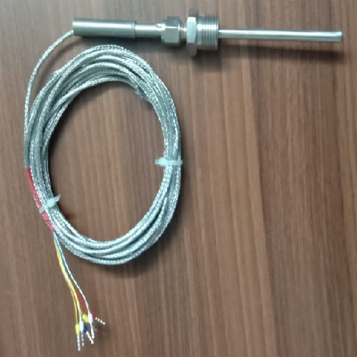 RTD Temperature Sensor